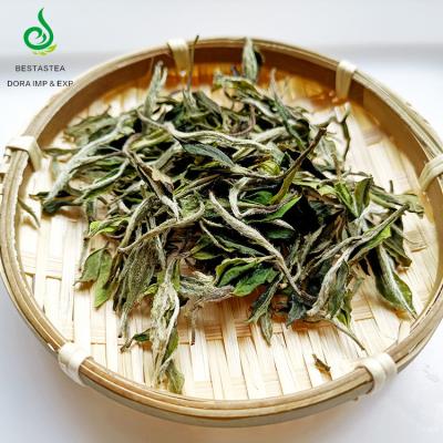 China Bai Mu Dan White Peony King White Tea Leaves Loose Tea Chinese Wholesale Premium White Tea Best Brands for sale