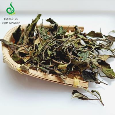 China Free Sample Chinese Organic Peony Peony Peko Tea Loose High Grade White Tea Pai Mu Dan Bai Mu Dan White Tea for sale