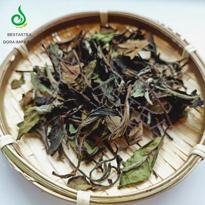 China Best Tea Loose Selling Famous Brands Wholesale Movable Type Peony Pai Mu Dan White Leaves High Quality White Tea for sale