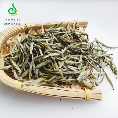 China 2020 Spring Fujian Health Silver Needle Fresh Refined Bai Hao Yin Zhen White Tea Loose Tea for sale