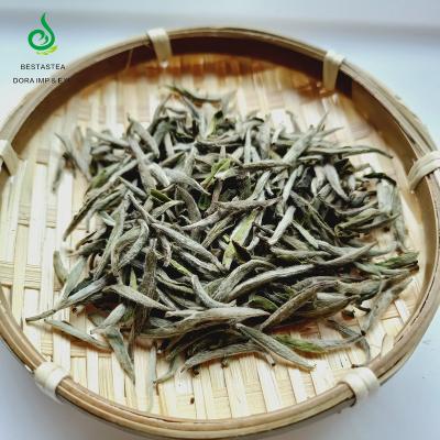 China Fresh Refined Loose Tea Bai Hao Yin Zhen White Tea Fujian Health Silver Needle Loose Tea Spring for sale