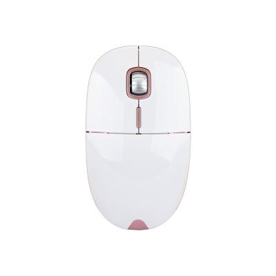 China 2021 New Fashion Logo Ergonomics Rechargeable Computer USB Custom Receiver Gaming Backlit Model Wireless Mouse, Mouse Case Box Removed for sale