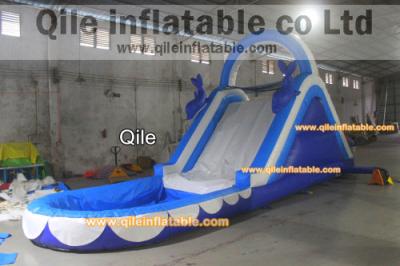 China la diapositiva de los delfínes mojado inflable y seco con la piscina, piscina puede quitado, diapositiva de la onda del doble en venta