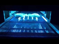 Ultraviolet sterilization oven