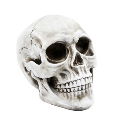 China Europe And American Western Scene Ghost Halloween Resin Model Skeleton Desk Head Bone Decoration Head Crafts for sale