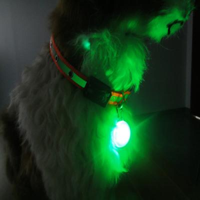 China pet safety light with keychain for sale