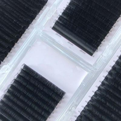 China Long Manufacturer Handmade Private Label Natural Fluffy Fan Volume False Eyelash Extensions for sale