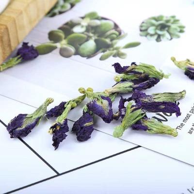 China Loose Tea Dried Blue Butterfly Pea Flower Tea Accept OEM Sachet Package for sale