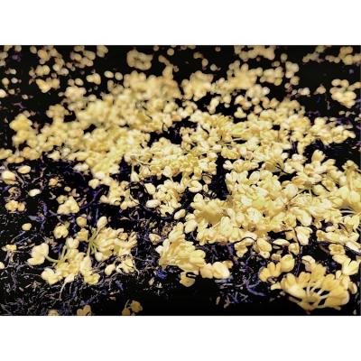 China Hot Water Brewing Osmanthus Classic Jiu Qu Hong Mei Tea Accept OEM Bag Package for sale