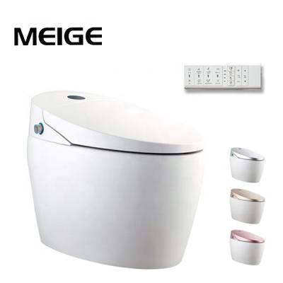 China Hot Selling OEM Tank Mode Hidden Operation Adjustable Multifunctional Hot Smart Light Children's Button Control Flushing Water Electric Toilet for sale