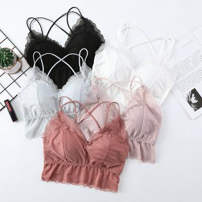 China Wholesale Beautiful Breathable and Comfortable Manufacturer Soft Back Wrapped Chest Gathered No Ring Steel Lace Bra for Women for sale