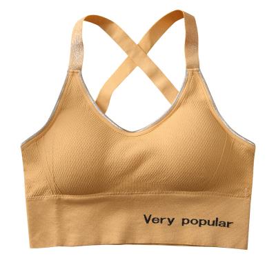 China Seamless Ladies Shape Simple Solid Color Light Gathering Wireless Comfortable Sports Seamless Bra Tube Tops for sale