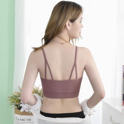 China Chinese Factory Seamless Antibacterial Ladies Bra Push Up Soft Tube Top Underwear For Women for sale