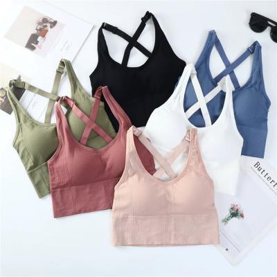 China Factory direct breathable seamless tube tops wholesale beauty back sports bra for women for sale