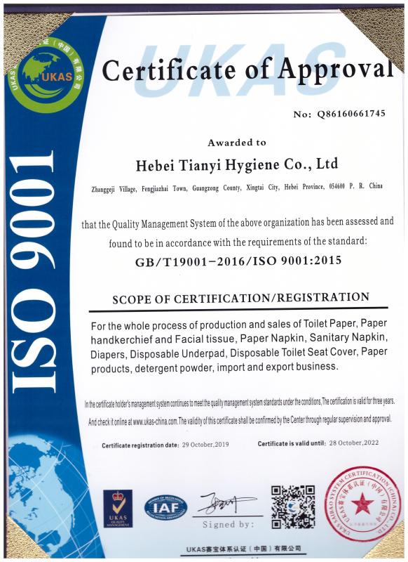 ISO9001 - Hebei Tianyi Hygiene Co., Ltd.