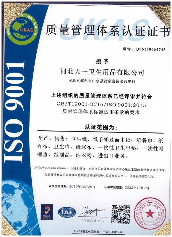 ISO9001 - Hebei Tianyi Hygiene Co., Ltd.