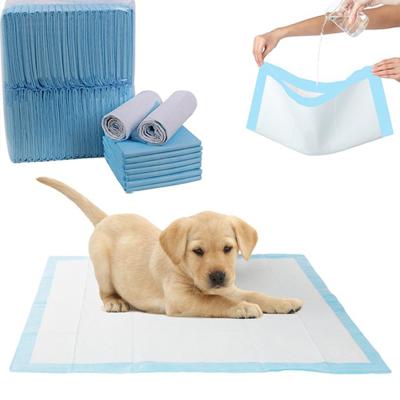 China Eco-Friendly Printed Doggie Basics Pet Training Pad Biodegradable Eco-Friendly And Puppy Underpad For Pet for sale