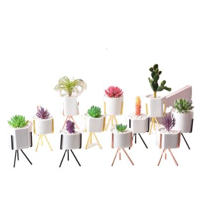 China Sale Flowerpot Hydroponics Green Plant Flower Vase Modern Top Succulent Flower Pot for sale