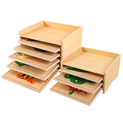 China Eco-Friendly Material Science and Culture of Montessori Teaching Aid Educational Toys for Early Childhood Education for sale