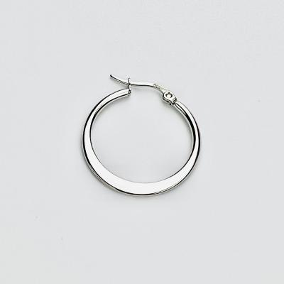 China Fashion Trendy Custom Women's Stainless Steel Hoop Earrings Korean Small Trendy Silver Popular Luxury Brands Designer for sale