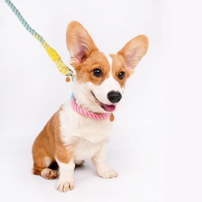 China Sustainable Popular Hot Selling Luxury Pet Leash Accessories Polyester Cotton Pet Leash for sale