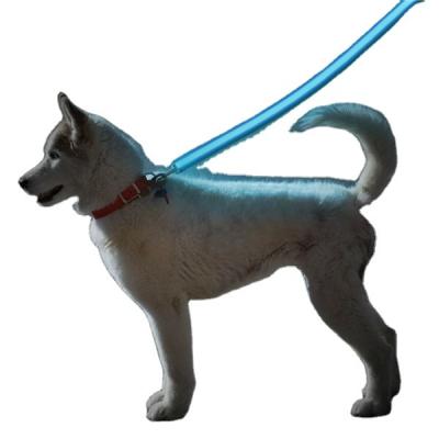 China Sustainable Dogs Accessories In China Pet Supply Led Dog Leash Wholesale for sale