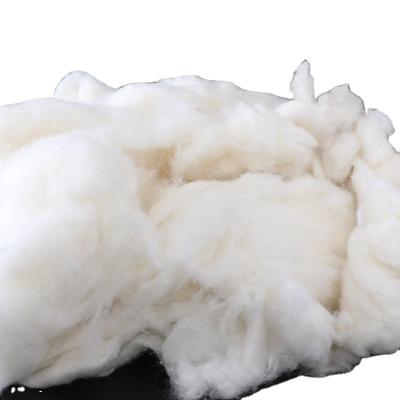 China 100% wool washed and carded fibers semi-processed sheep wool for wool spinning for sale