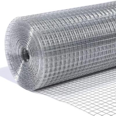 China Direct Galvanized Iron Wire Steel Wire Mesh Custom Size Hot Dip Galvanized PVC Coating Filter Screens for sale