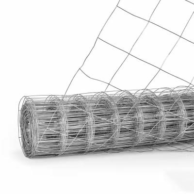 China Hot Dipped Galvanized 1m x 30m Welded Wire Mesh Fence Roll for Chicken Coop Made of Q195/Q235 Raw Material for sale