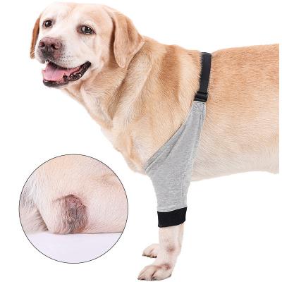 China Dog Leg Guards Leg Guards Dog Knee Protector Injured Recovery Soft Comfortable Cover Injured Recovery Strap Stocked for sale