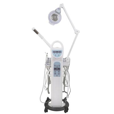 China Best Selling Skin Revitalizer Face Sweep Beauty Products For Women Multi-functions 9 in 1 Beauty Instrument Galvanic High Frequency Facial Machine for sale