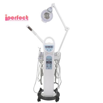 China High Quality Skin Revitalizer Skin Cleansing Galvanic Facial Lifting Hot Steam 9 in 1 Multifunctional Beauty Machine for sale