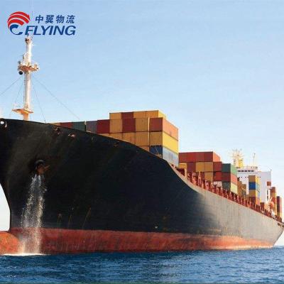 China Cheap Sea Freight Shipping Cost Door to Door DAP logistics Service From Shenzhen, China to USA NEW YORK Directly Te koop