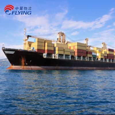 中国 Cheap Sea Freight Shipping from China to Nassau port Bahamas Sea Freight Rate 販売のため