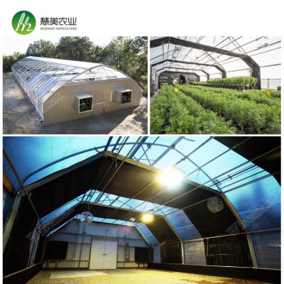 China Medical Plantation For USA Wisemax Easy To Install 100x30ft Lightweight Deprivation Breathing Greenhouse for sale