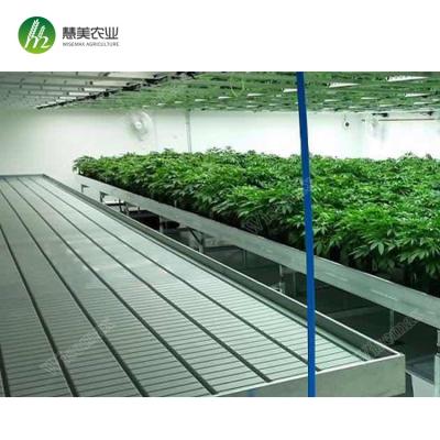 China Clear Plastic Hydroponic Fodder Flood Rolling Bench ABS Grow Tray for sale