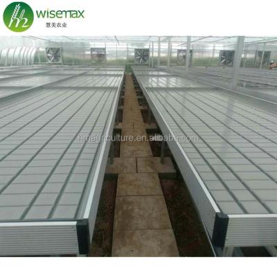 China Clear Hot Sale Hydroponic Ebb And Flow Rolling Bench Flood Tables In USA for sale