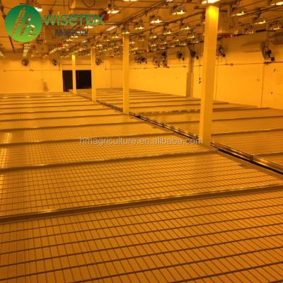 China Bench Flood Clear High Quality Rolling Hydroponic Tables And Trays For Flowers for sale