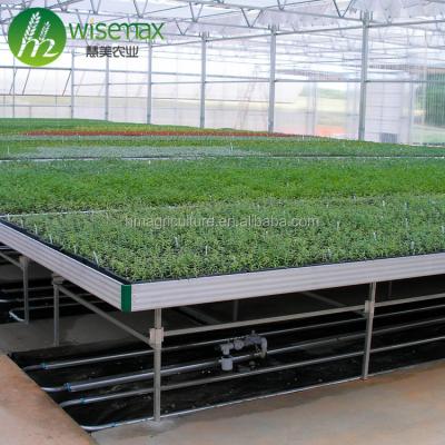 China Clear Wisemax Agriculture Greenhouse Mobile Rolling Bench for sale