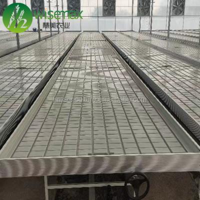 China Clear Agricultural Irrigation Bench Flood Removable Rolling Table Grow Tray for sale