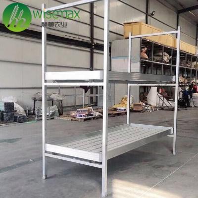 China Clear wholesale 4x8ft double stack hydroponic rolling bench for sale for sale