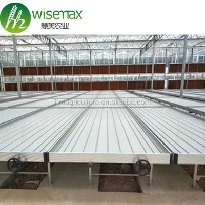 China Clear Low Cost Ebb Tray Stainless Steel Plastic Hydroponic Rolling Bench for sale