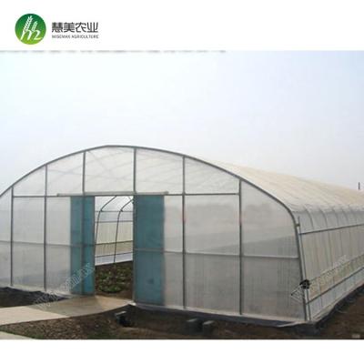 China Agriculture Waterproof Vegetable Film Single Double Span Inflatable Greenhouse With Low Cost for sale