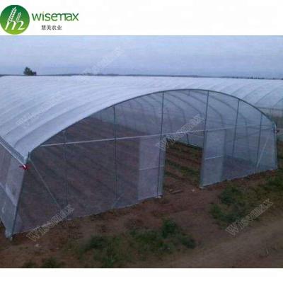 China Agricultural Production Large Span Waterproof Single Plastic Film Greenhouse for sale