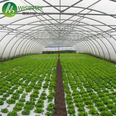 China Single Span Low Cost PE Vegetable Seeds Greenhouse / Circle House for sale