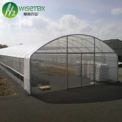 China PE Polytunnel / Cheap Single Span Plastic Greenhouse For Agriculture for sale