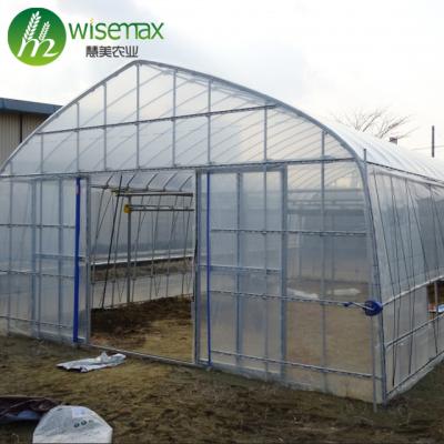 China Hot Sale PE Single Tunnel Plastic Octagonal Greenhouse With Easy Assembly for sale