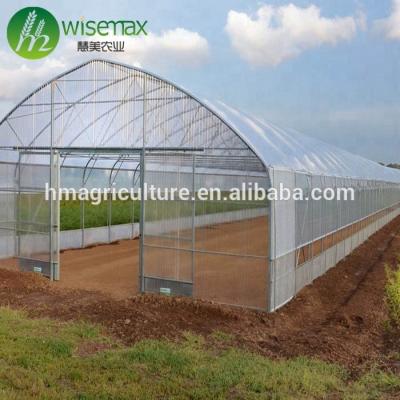 China Low Cost Waterproof Plastic Single Span Hydroponics Agricultural Greenhouse Design for sale