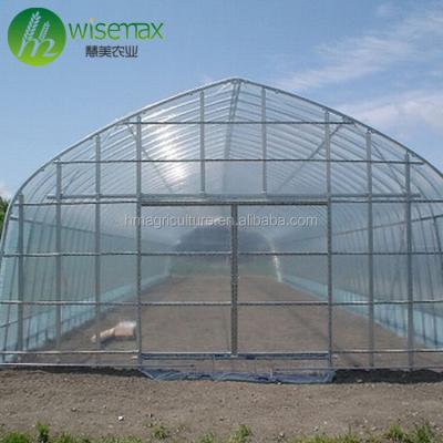 China PE Single Span Tunnel Gothic Arch Commercial Greenhouses for sale