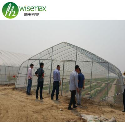 China Eco - Friendly PE Single Span Modular Steel Tube Greenhouse Kit for sale